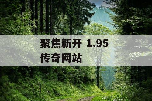 聚焦新开 1.95 传奇网站