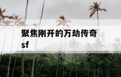 聚焦刚开的万劫传奇 sf