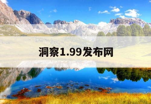 洞察1.99发布网