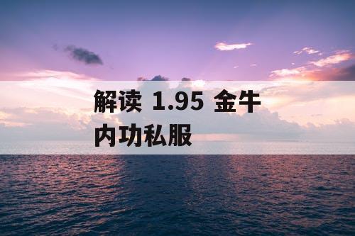 解读 1.95 金牛内功私服 解读 1.95 金牛内功私服