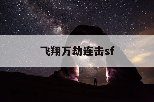 飞翔万劫连击sf