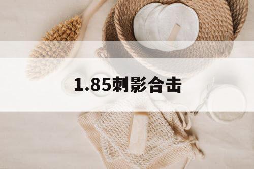 1.85刺影合击