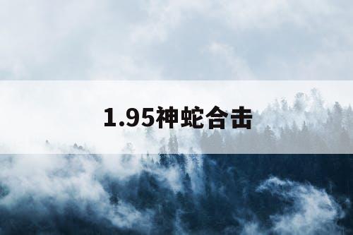 1.95神蛇合击