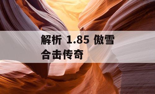 解析 1.85 傲雪合击传奇