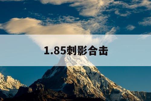 1.85刺影合击