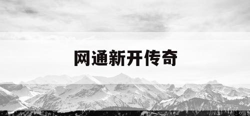 网通新开传奇