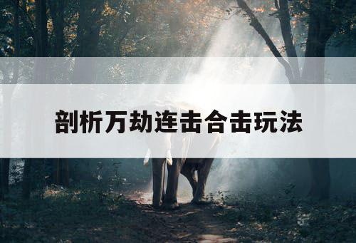 剖析万劫连击合击玩法