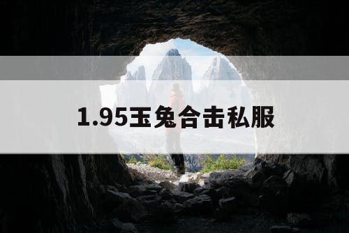 1.95玉兔合击私服