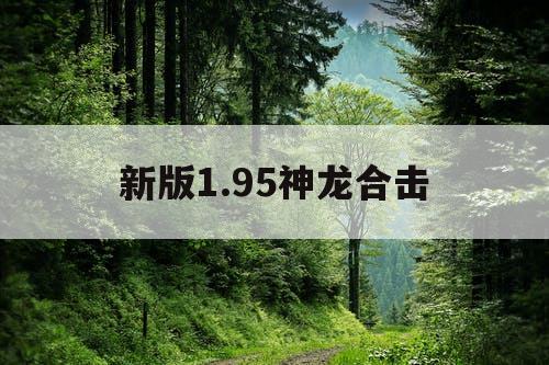 新版1.95神龙合击