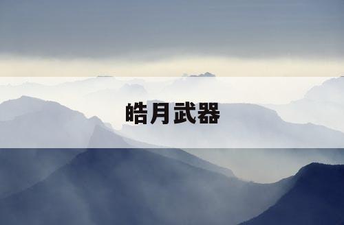皓月武器 皓月武器
