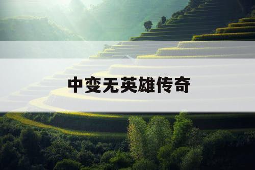 中变无英雄传奇