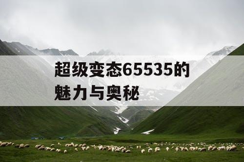 超级变态65535的魅力与奥秘 超级变态65535的魅力与奥秘