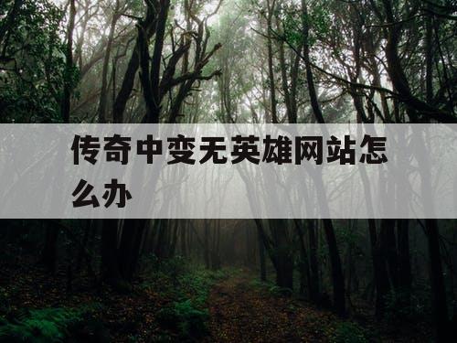 传奇中变无英雄网站怎么办