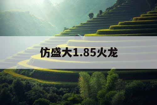 仿盛大1.85火龙