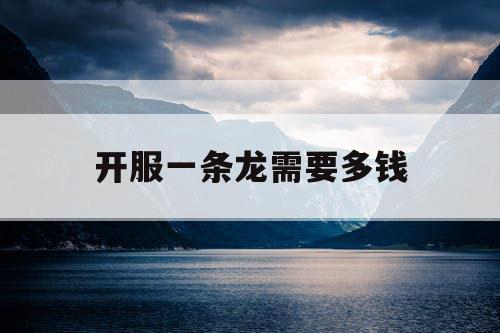 开服一条龙需要多钱