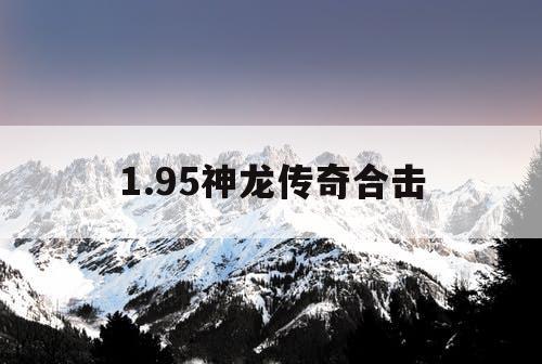 1.95神龙传奇合击