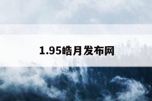 1.95皓月发布网