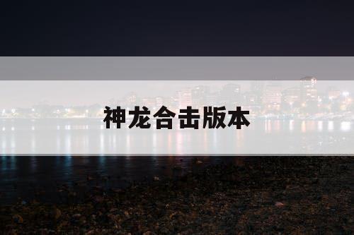 神龙合击版本