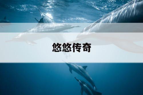 悠悠传奇