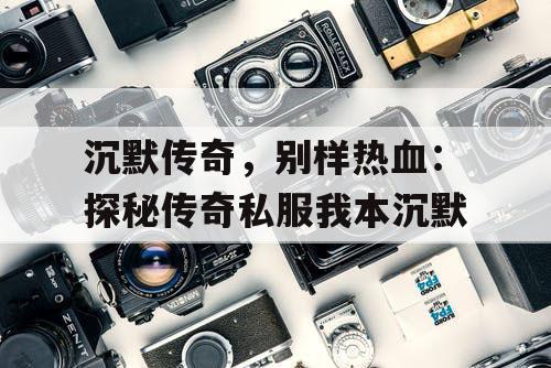 沉默传奇，别样热血：探秘传奇私服我本沉默