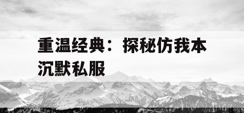 重温经典：探秘仿我本沉默私服