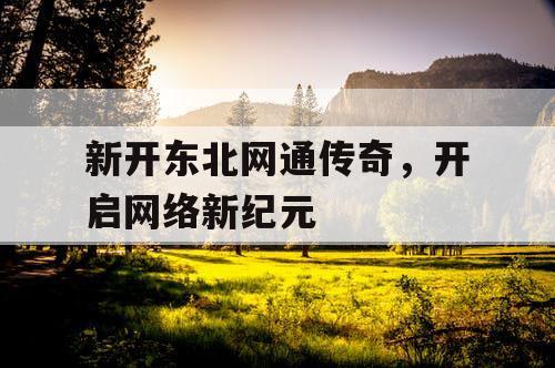 新开东北网通传奇，开启网络新纪元