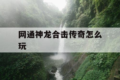 网通神龙合击传奇怎么玩