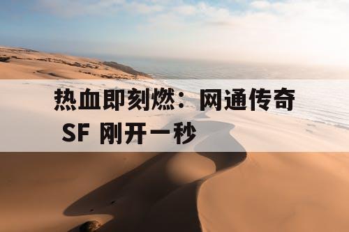 热血即刻燃：网通传奇 SF 刚开一秒