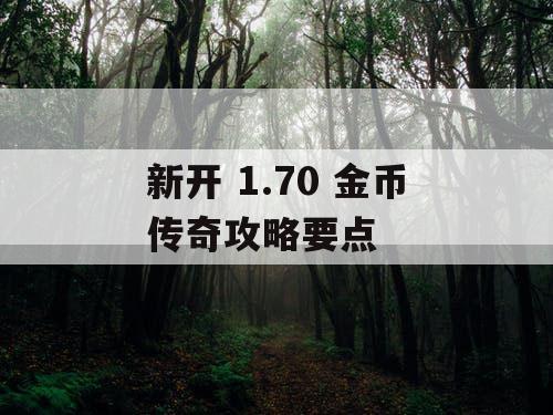 新开 1.70 金币传奇攻略要点 新开 1.70 金币传奇攻略要点