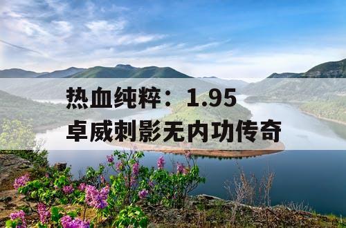 热血纯粹：1.95 卓威刺影无内功传奇