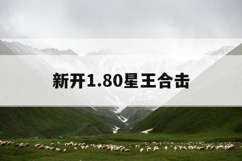 新开1.80星王合击