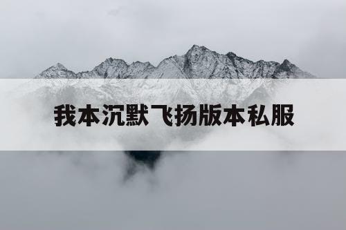 我本沉默飞扬版本私服