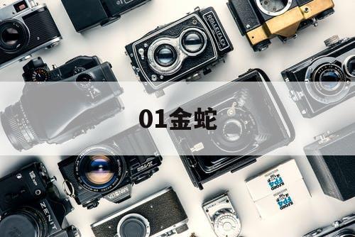 01金蛇 01金蛇