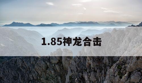 1.85神龙合击