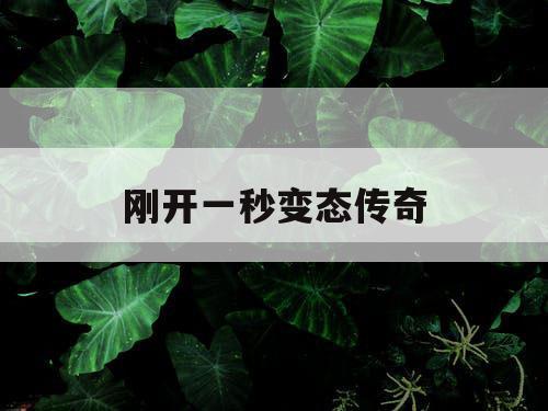 刚开一秒变态传奇