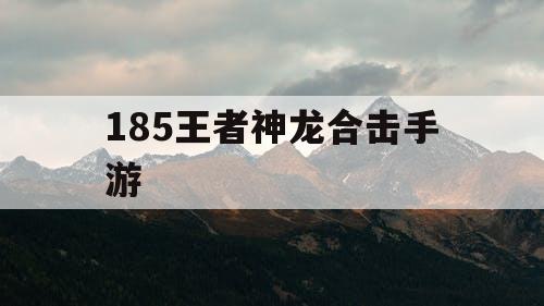 185王者神龙合击手游