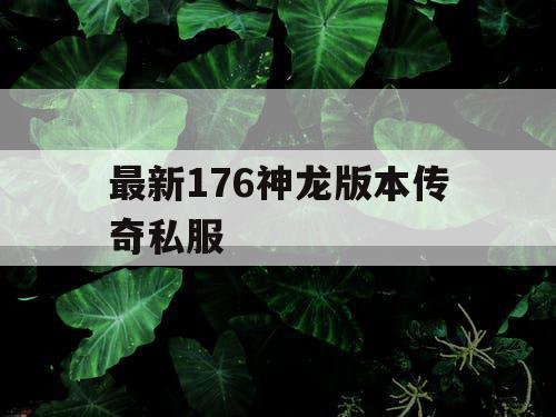 最新176神龙版本传奇私服 最新176神龙版本传奇私服