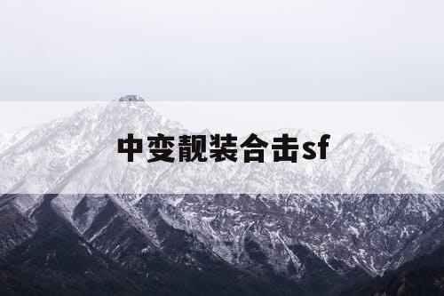 中变靓装合击sf