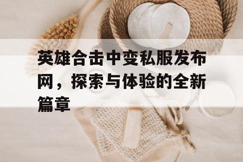 英雄合击中变私服发布网，探索与体验的全新篇章