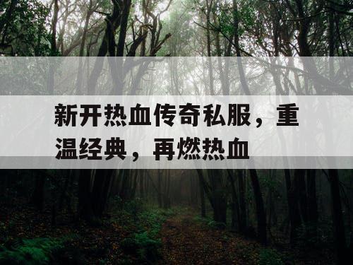 新开热血传奇私服，重温经典，再燃热血