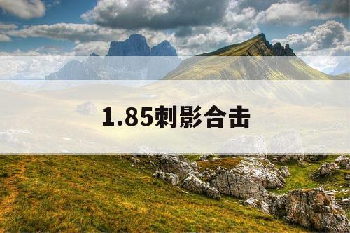 1.85刺影合击