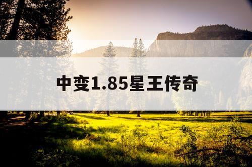 中变1.85星王传奇
