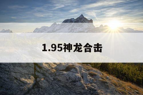 1.95神龙合击