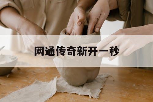 网通传奇新开一秒