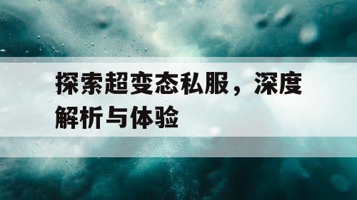 探索超变态私服，深度解析与体验