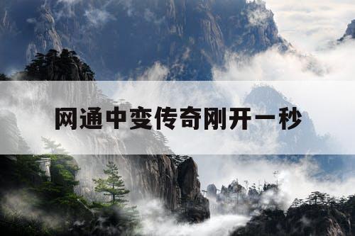 网通中变传奇刚开一秒