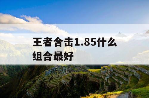 王者合击1.85什么组合最好 王者合击1.85什么组合最好