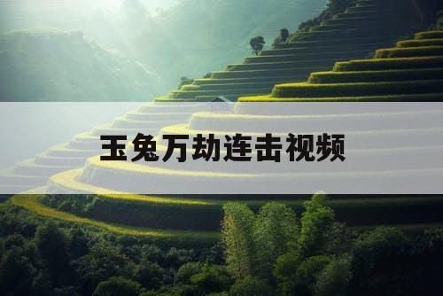 玉兔万劫连击视频 玉兔万劫连击视频