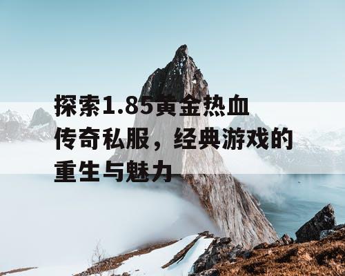 探索1.85黄金热血传奇私服，经典游戏的重生与魅力