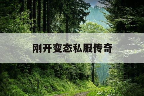 刚开变态私服传奇